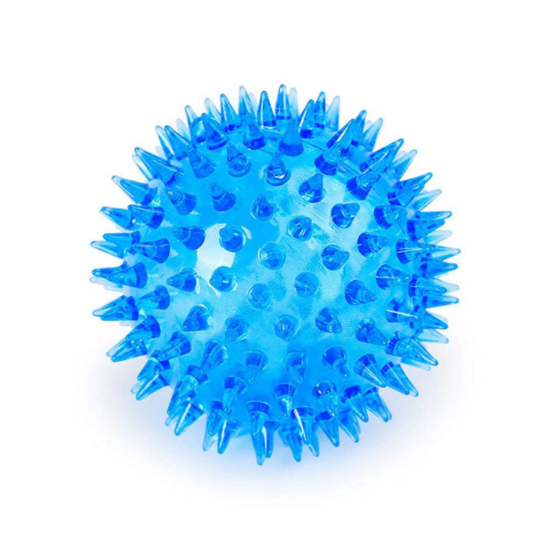 Pet Squeaky Light Up Ball